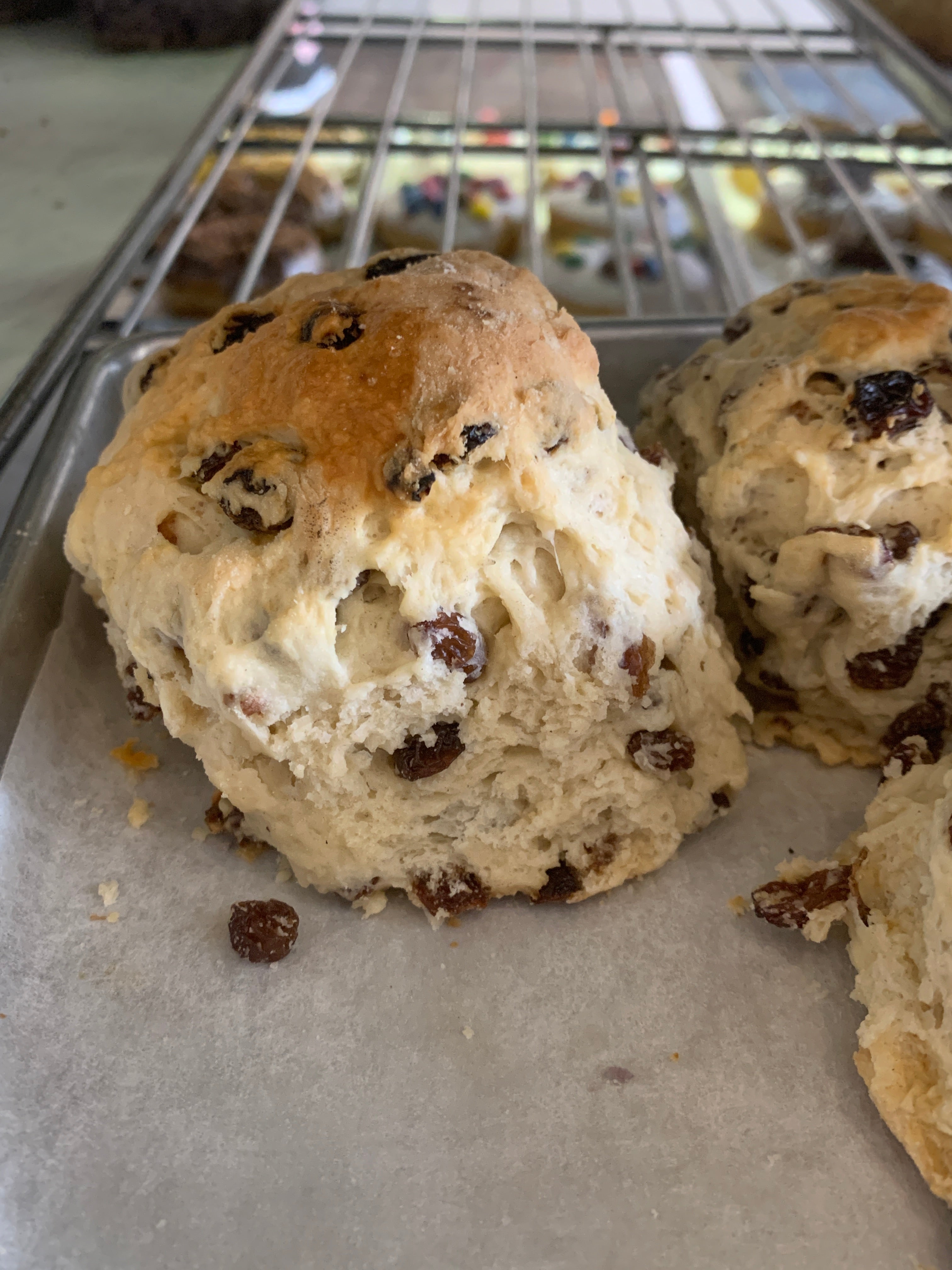 Raisin tea biscuits – Paris Bakery